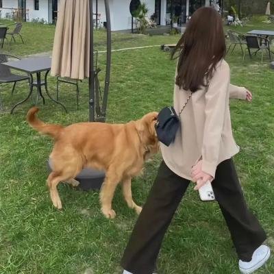 闪耀吧！中华文明封面